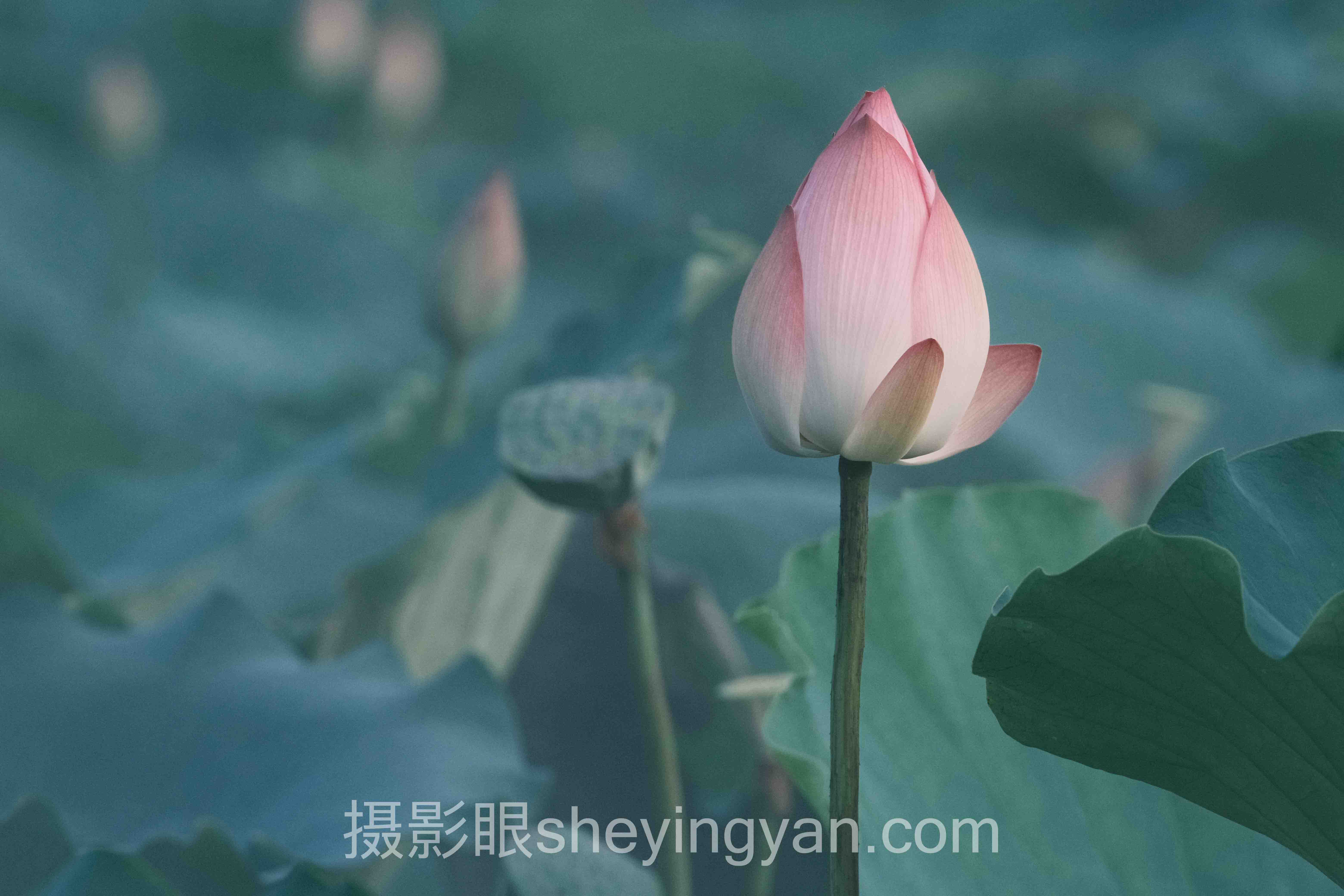 对话行业专家：摄影新手每天练习什么的关键洞察与前瞻