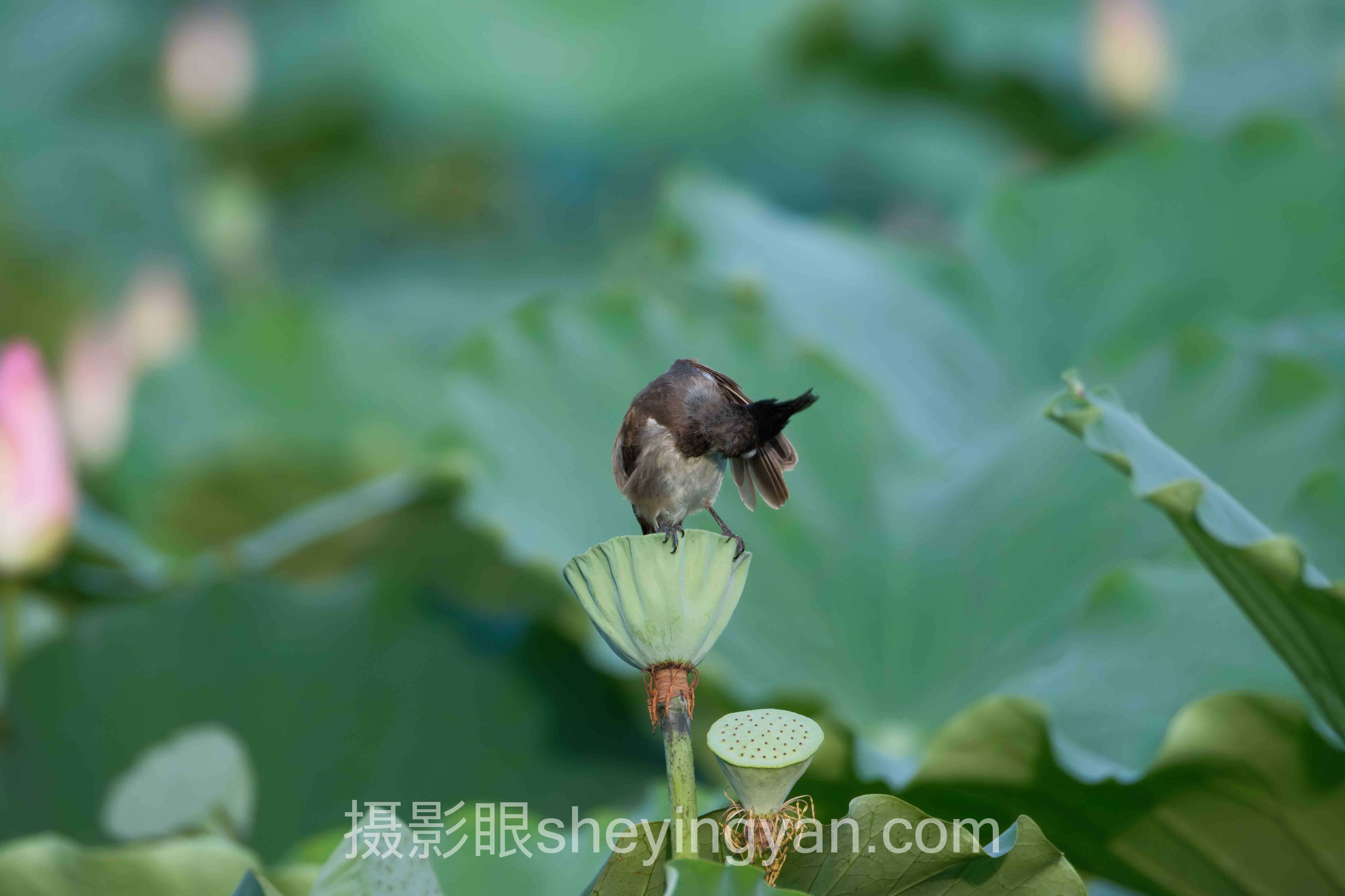 数据说话：提高摄影认知实战技巧的最新发展现状