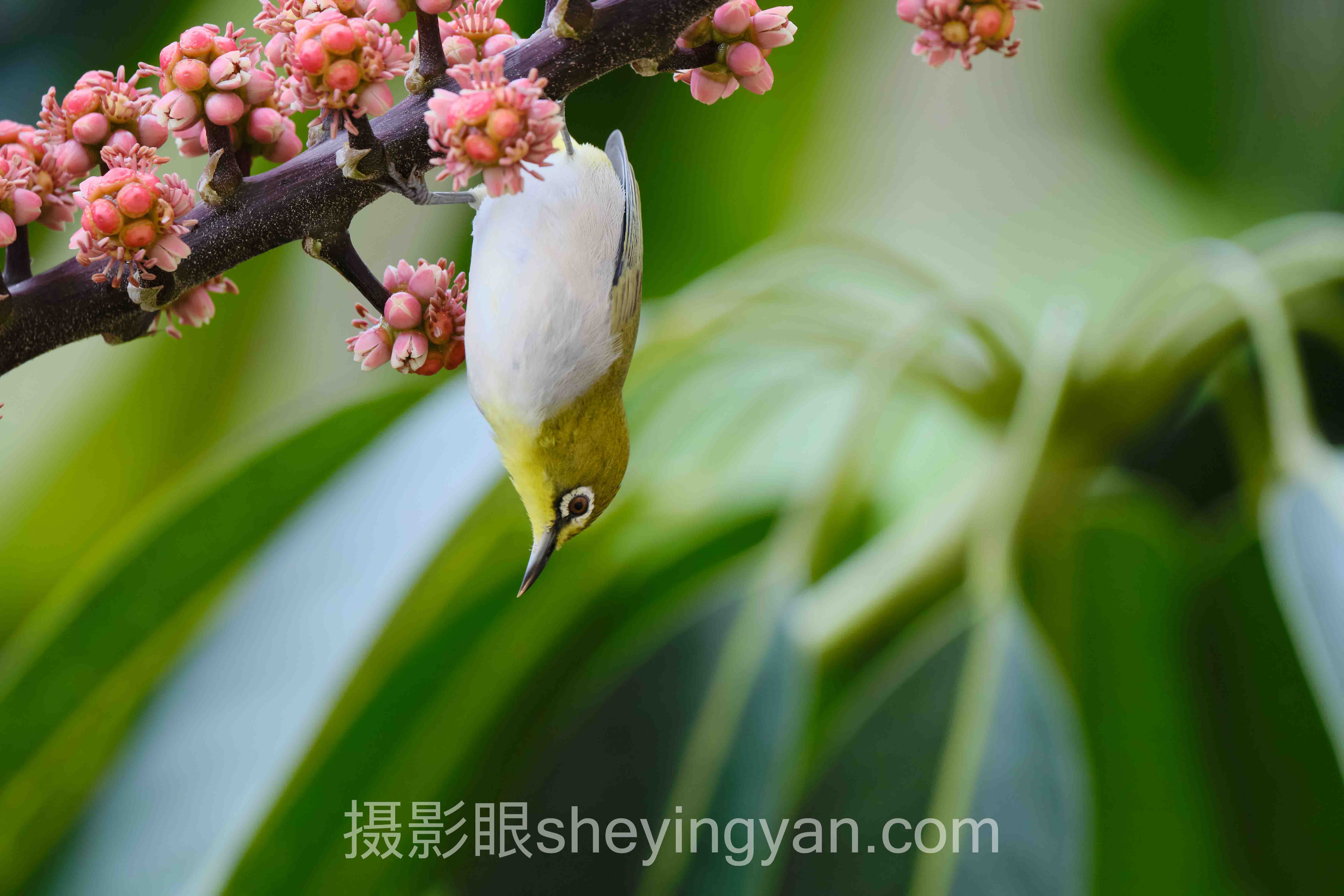 选摄影审美入门路径不踩坑：四条路线多维度对比指南