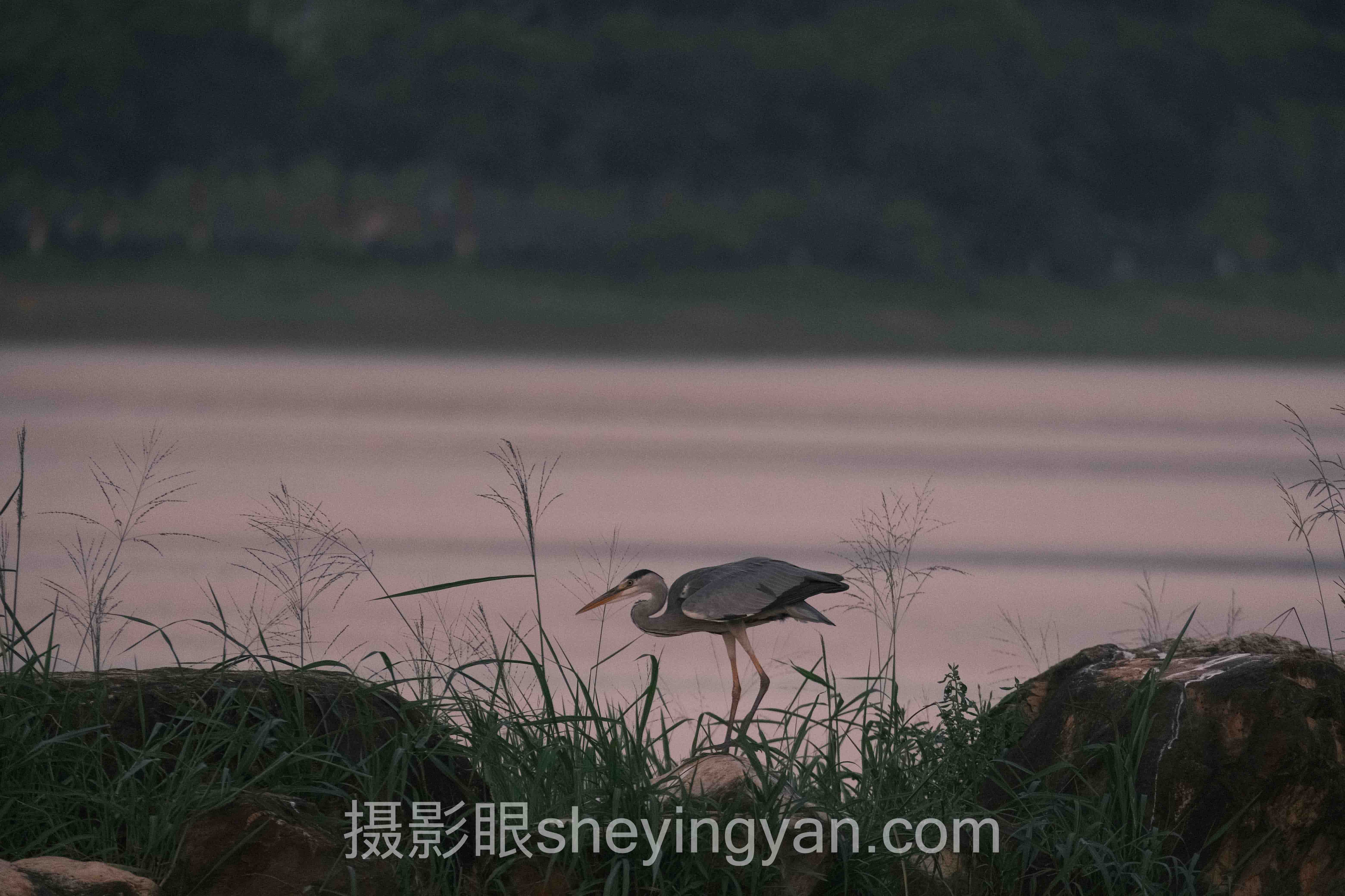 北京摄影风格培训班全景解读：问题根源与破局之道