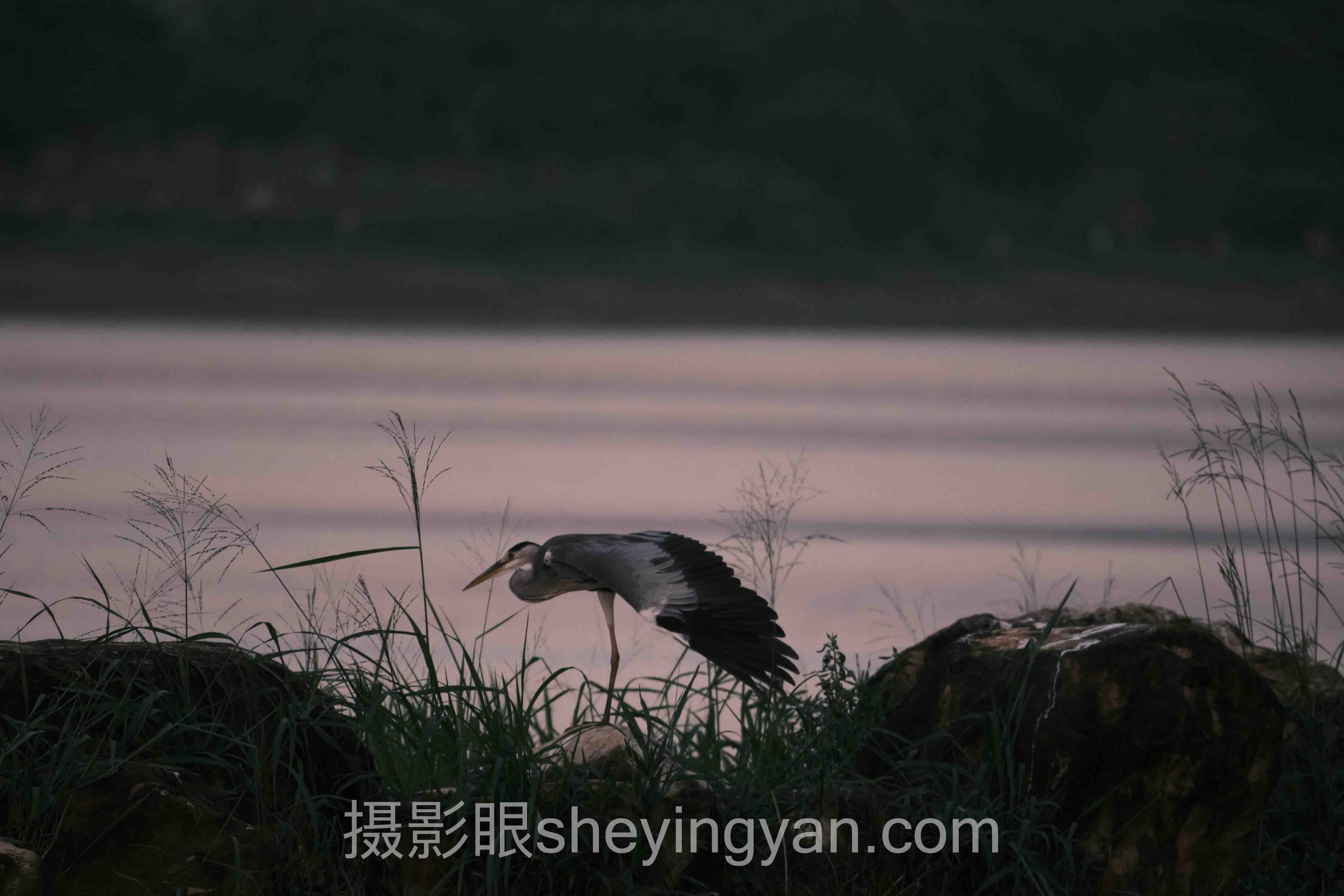 业余摄影师如何提升水平