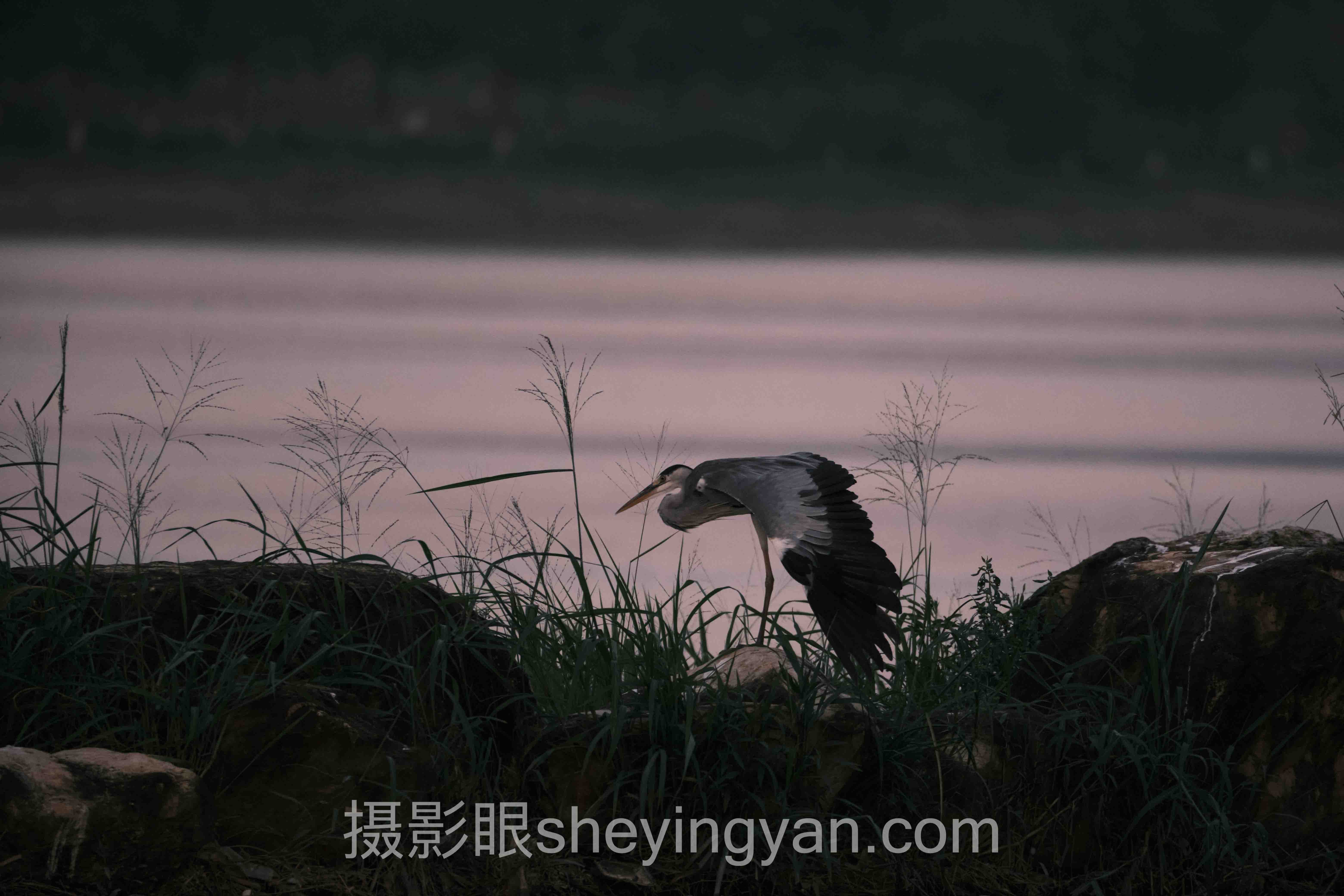如何选择哈苏相机入门实战案例拆解：3个成功实践的共同规律