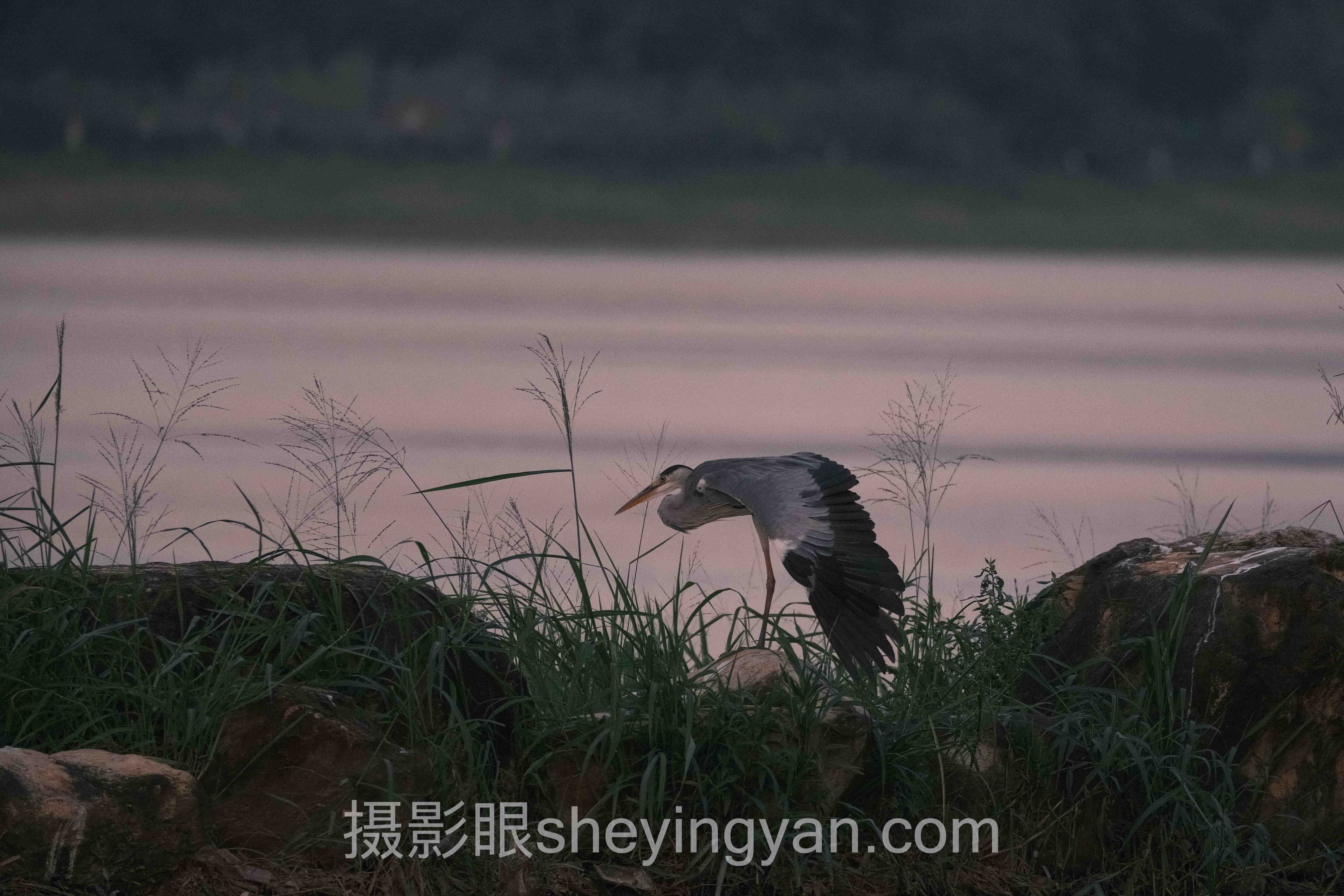 广角镜头怎么用入门：从零开始掌握2大实操心法