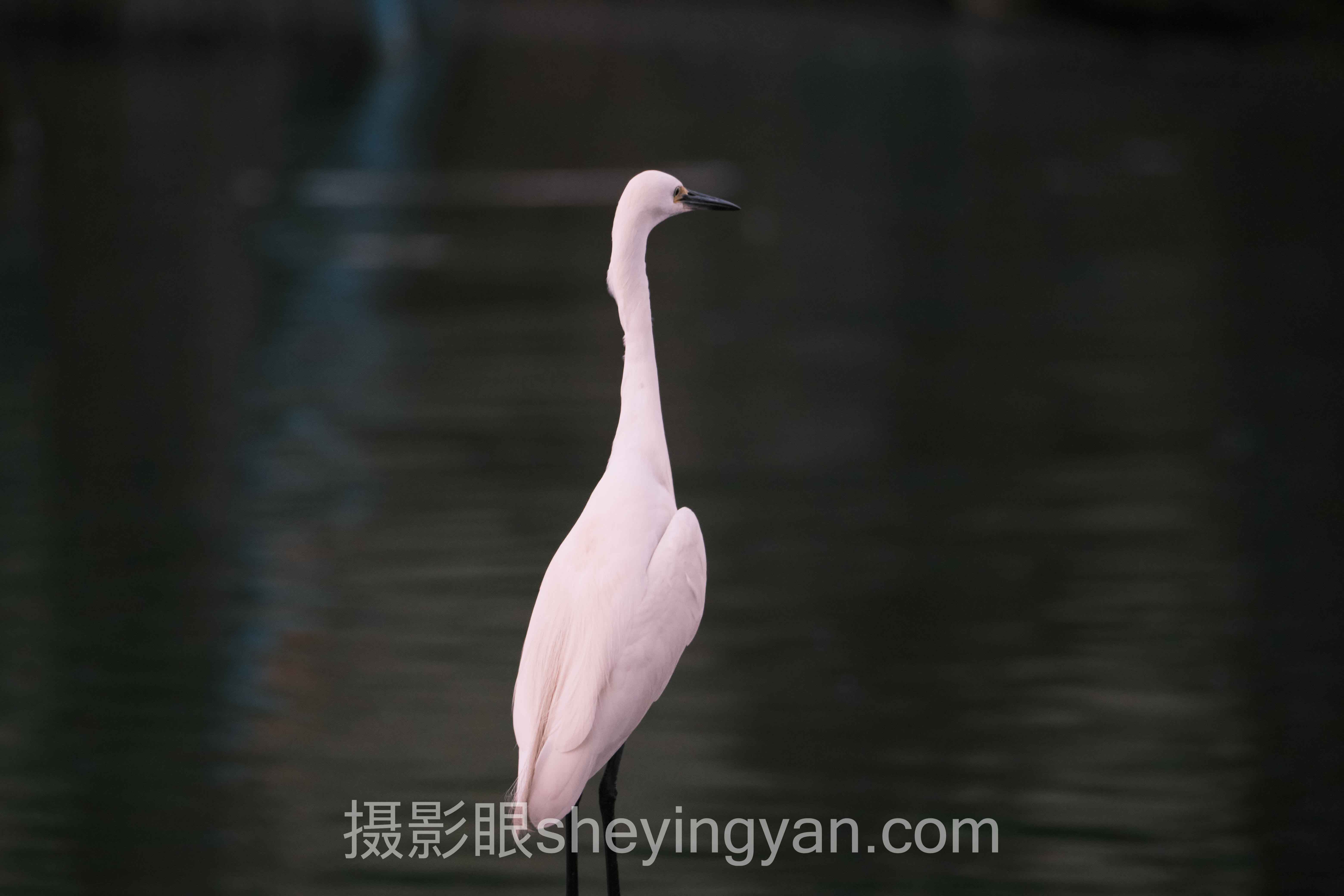 山景怎么拍大气背后的真相，多数人不知道