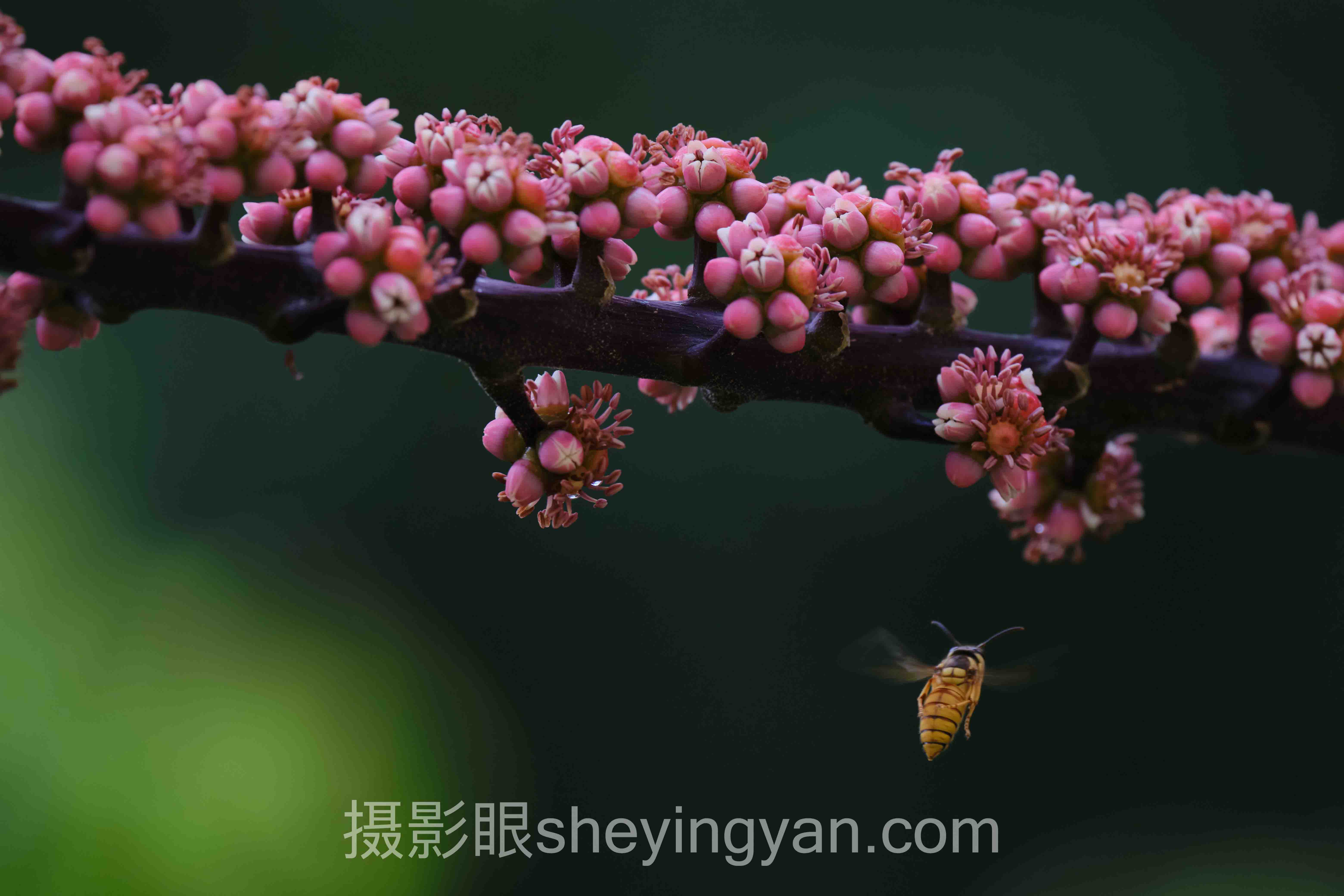 摄影后期需要学什么？我劝你先扔掉80%的教程