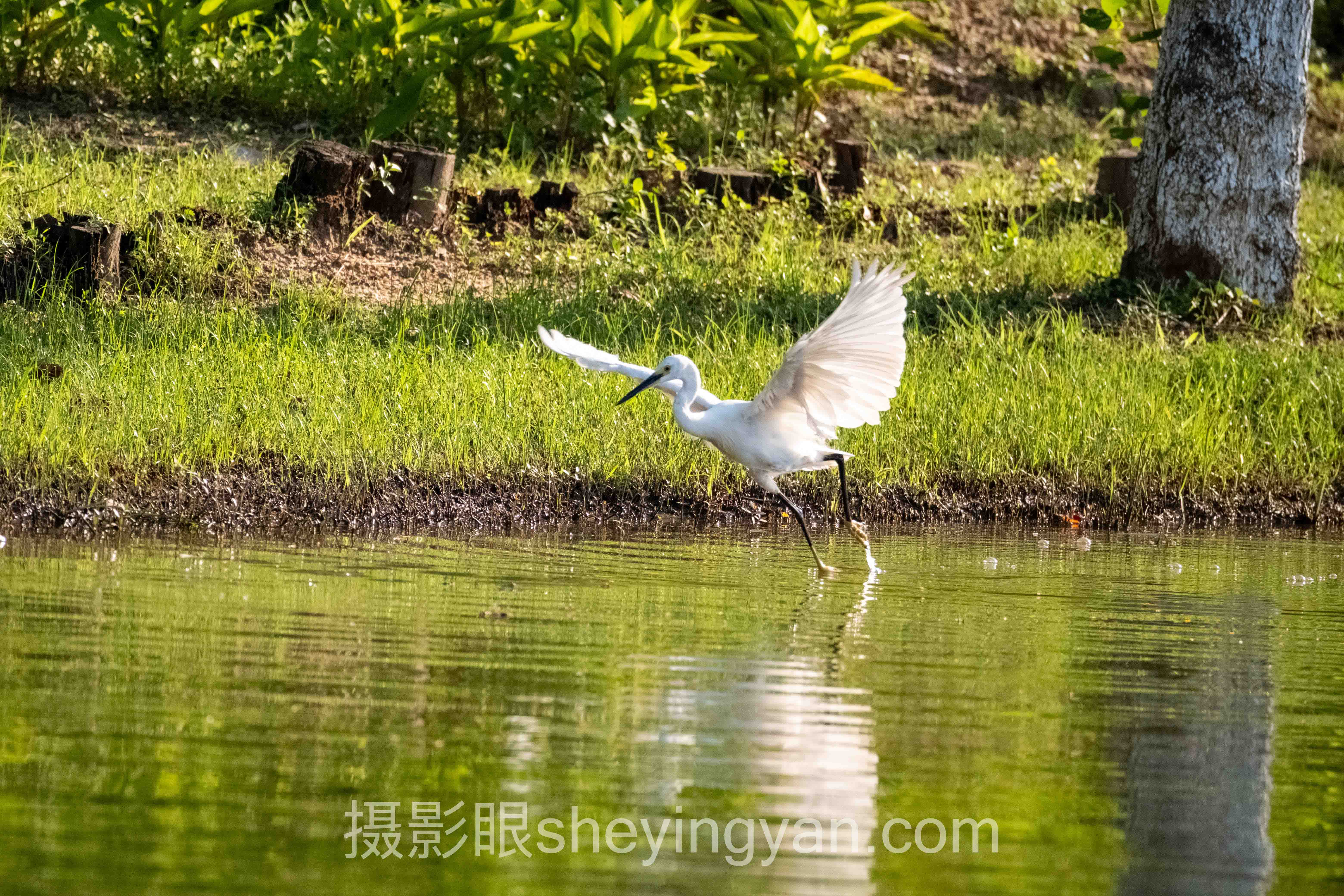 摄影眼sheyingyan.com